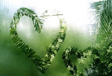 2025F1中国站票房比2024年增长30%，预计到场总观众22万人次左右.